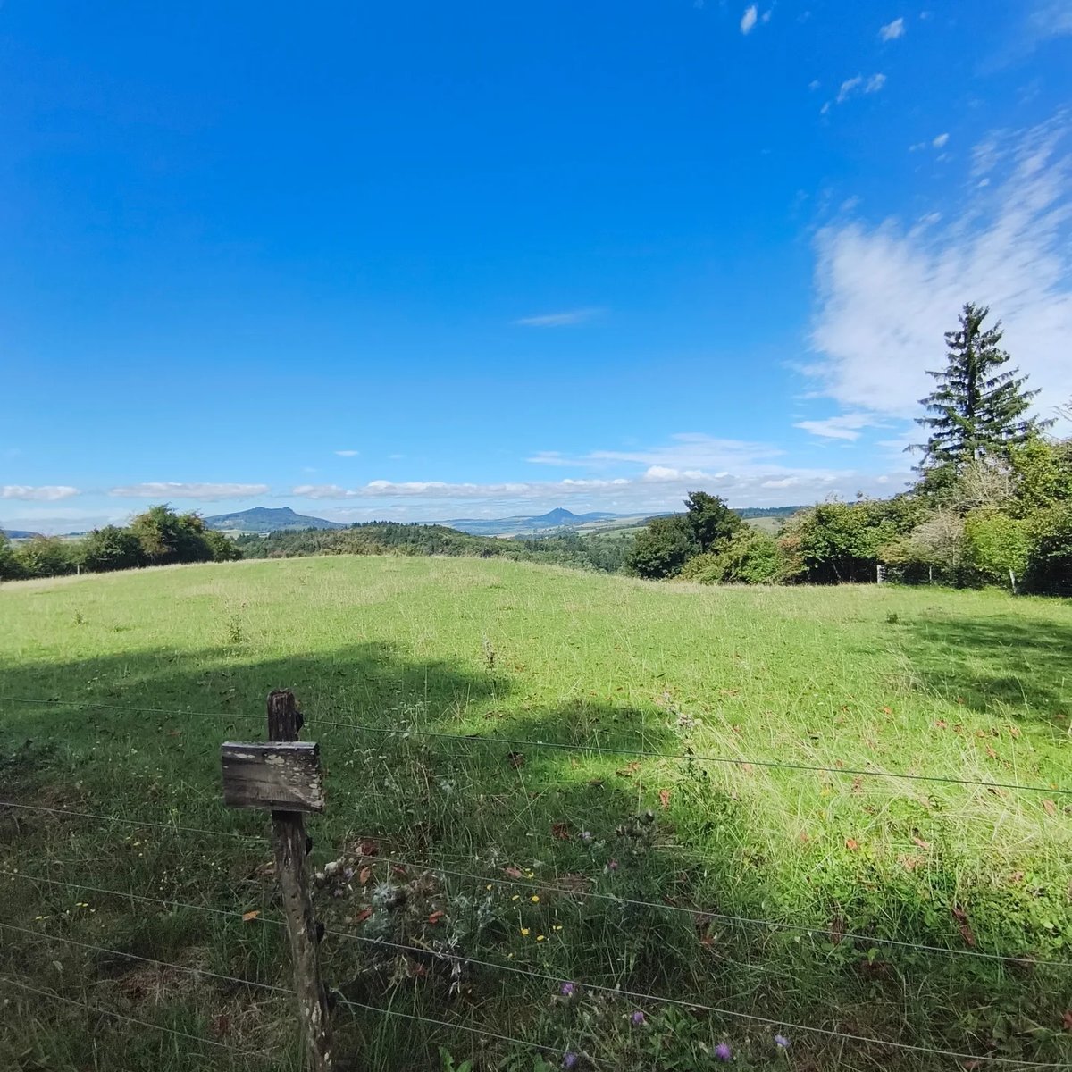 leojpb's tweet photo. Wanderung am Sonntag, dem 31. 08. 2025 am Hohentwiel bei Singen. #hohentwiel #singen #wandernmachtglücklich #wandern #bodenseeregion #wandernindeutschland #weinberge #weintrauben #august #spätsommer #dankbar https://t.co/DEIQGwbrrV