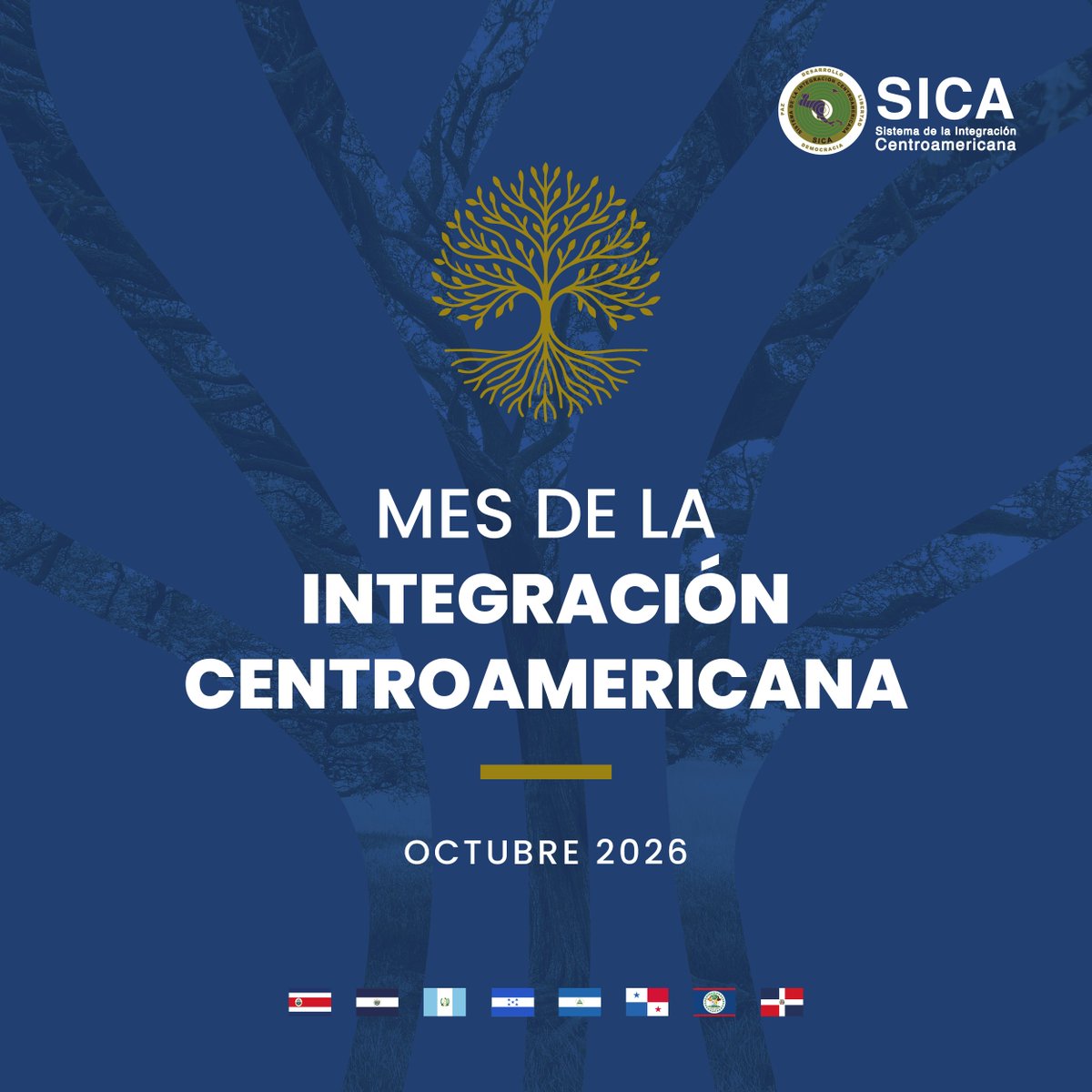 sg_sica's tweet photo. 🗓️ Octubre #MesDeLaIntegración | 

En este mes, el Sistema de la Integración Centroamericana (SICA) conmemora un proceso que ha permitido avanzar hacia una región más integrada y con mayores oportunidades para el desarrollo de sus pueblos. 
 
El 14 de octubre de 1951 los países de la región hicieron una apuesta por la integración con la firma de la Carta de San Salvador que dio vida a la Organización de Estados Centroamericanos (ODECA).

Destacamos que el valor de la integración está en la capacidad de actuar juntos para dar respuestas regionales articuladas a desafíos comunes.

🤝Mes de la Integración: una región, una visión, un futuro compartido. 🌎