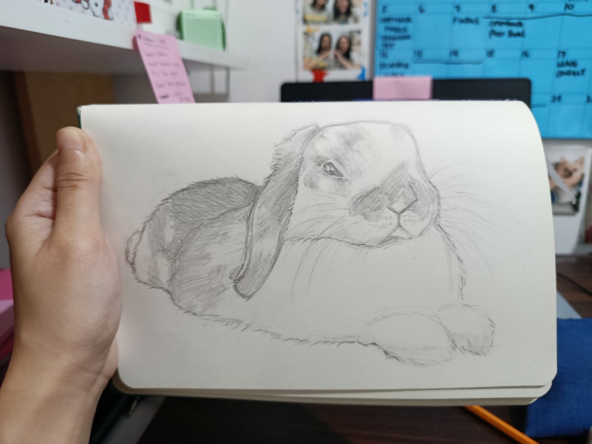 ifihadwinqs's tweet photo. decided to draw that one bunny cause i was bored and didnt wanna work on my projects yet https://t.co/2eYqJDZLEE