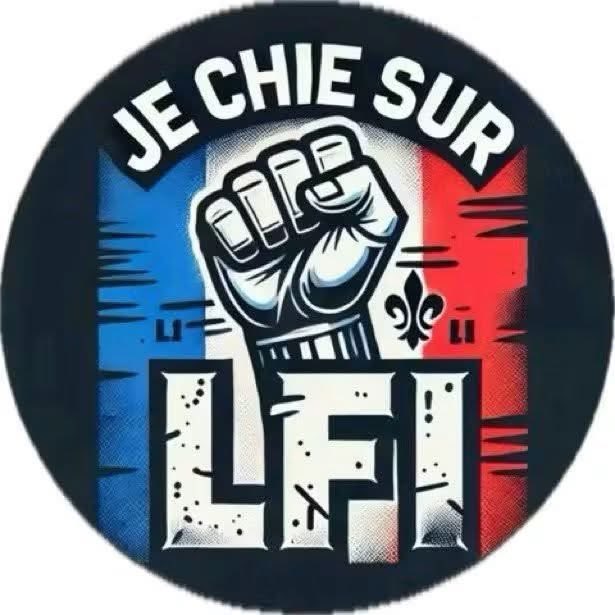 ManouelFrosx's tweet photo. @LouisBoyard Le pays est surtout choqué de voir toutes les racailles foutre le pays à sac et surtout à cause de grosse 💩 Lfi comme toi !! https://t.co/NDQjYNsgdX