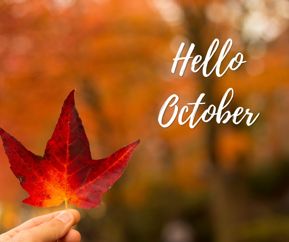 cooperplumbfl's tweet photo. Welcome, October! 🎃 New month, new goals. Let's go! https://t.co/NjM5osrsDw #october #autumn #plumbing #plumber #plumbingservices #bathroom #tools #waterheater #plumbingrepair #draincleaning #plumbingproblems #drainrepair #milton #pensacola https://t.co/MtEdlyG4RK