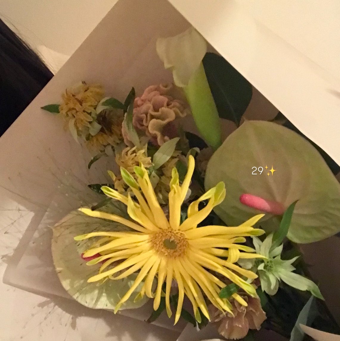 hanachaa9's tweet photo. 花ちゃん29歳おめでとう🎗️
幸せいっぱいの素敵な1年にしてね🪄
ずっとずっとだいすき♡ https://t.co/PA1PdDrAZg