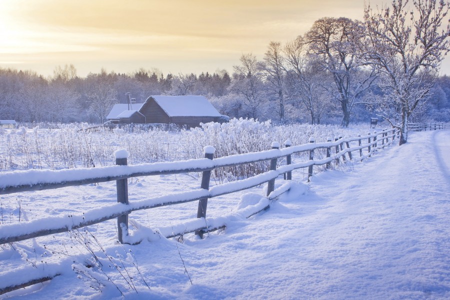 HAlmanack's tweet photo. *SNOWFALL ALERT* The Hagerstown Almanack sees the first snowfall alerts for the season for interior New England right smack dab in mid-October! A killing frost will follow in all of the Northeast. https://t.co/E55aXFibw6