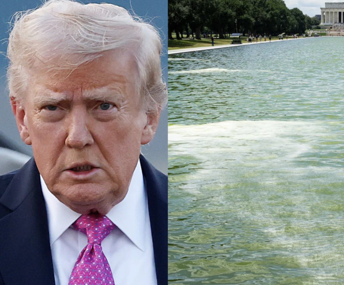 CalltoActivism's tweet photo. 🚨MAJOR BREAKING: A DC judge has just permanently dismissed the case against the ex-Olympian charged with vandalizing the Lincoln Memorial Reflecting Pool. Trump should be charged instead. https://t.co/ziQfdvuE06