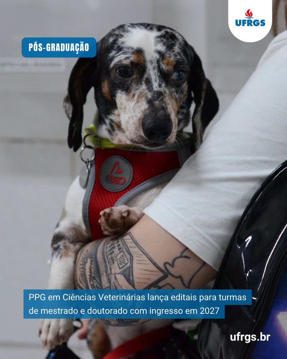 ufrgsoficial's tweet photo. A Faculdade de Veterinária da Universidade divulgou os editais de seleção de novos alunos em seu Programa de Pós-Graduação em Ciências Veterinárias para turmas de mestrado e doutorado. As inscrições poderão ser feitas de 1º a 22 de novembro.
Leia mais em https://t.co/bElerfxCGw https://t.co/ykQL3ZgIMd