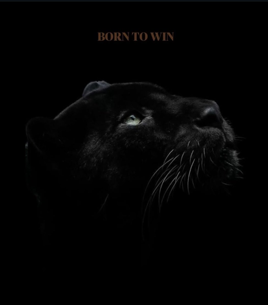 tony82804's tweet photo. Born to win 🖤 https://t.co/jr0wKgXdnK