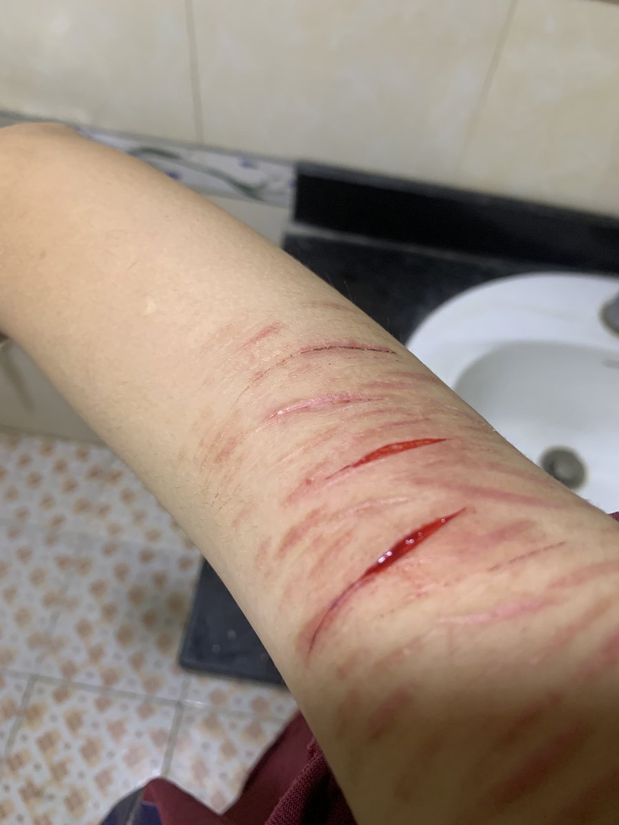 embethichsh's tweet photo. tht sự kh nhịn nổi nx #sfxtwt #sh #fake https://t.co/mRwhoLDWMk
