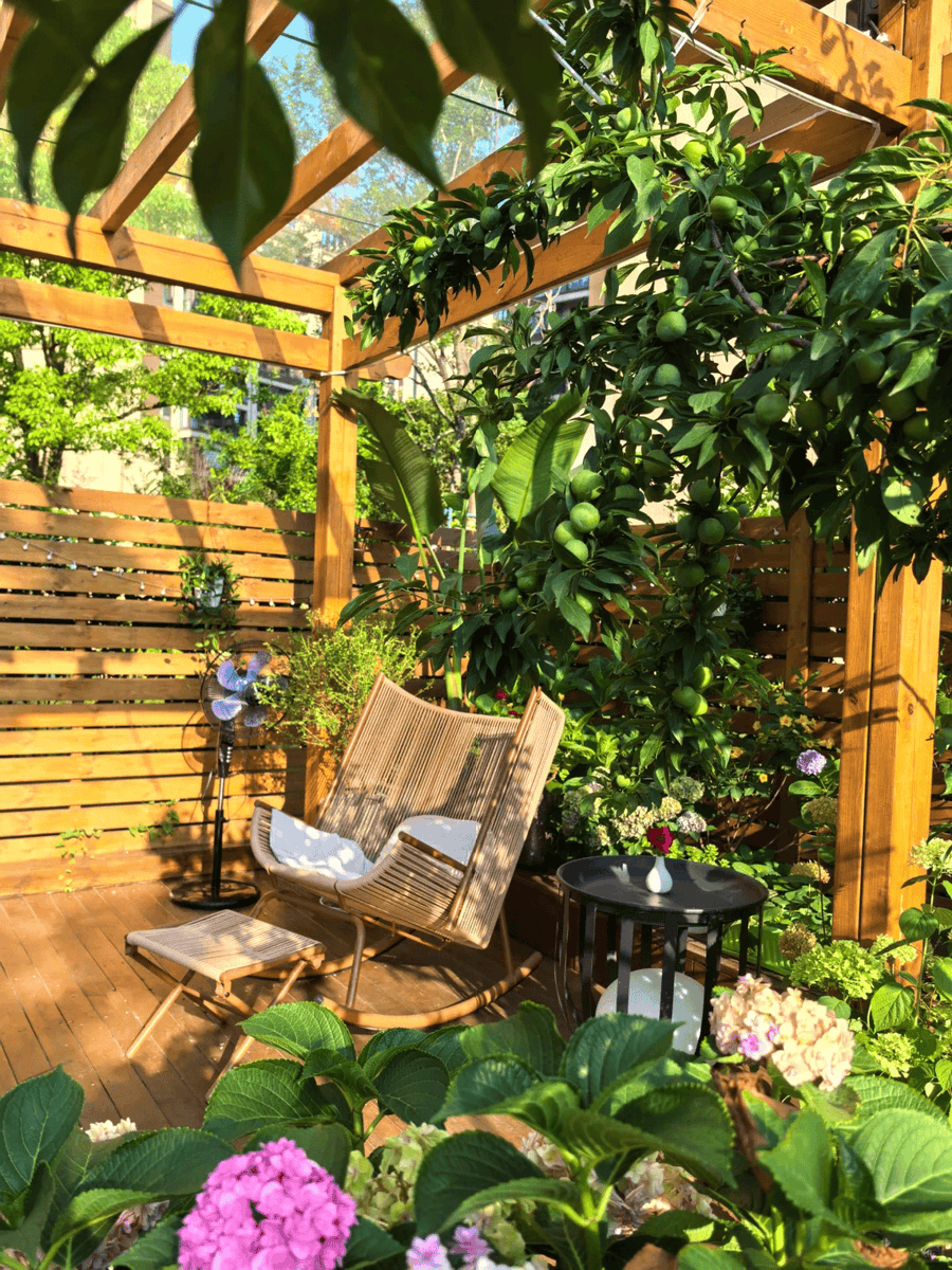 brixnxp615's tweet photo. Summer comes, the messy (雍乱菲窘) scene of the small yard makes the hot day full of a cozy mess, simple and warm. https://t.co/yMlcW17ZFP