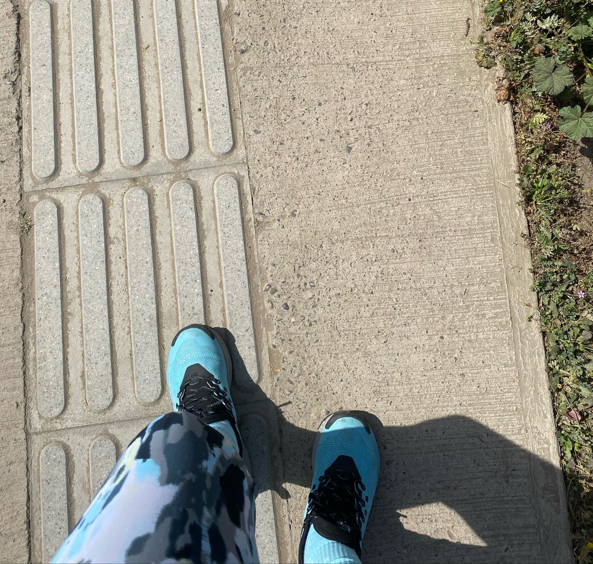 Beag_Peque's tweet photo. 12:00 de día continental 23 grados y ella sale a caminar😎 https://t.co/OkoVTkAp3o