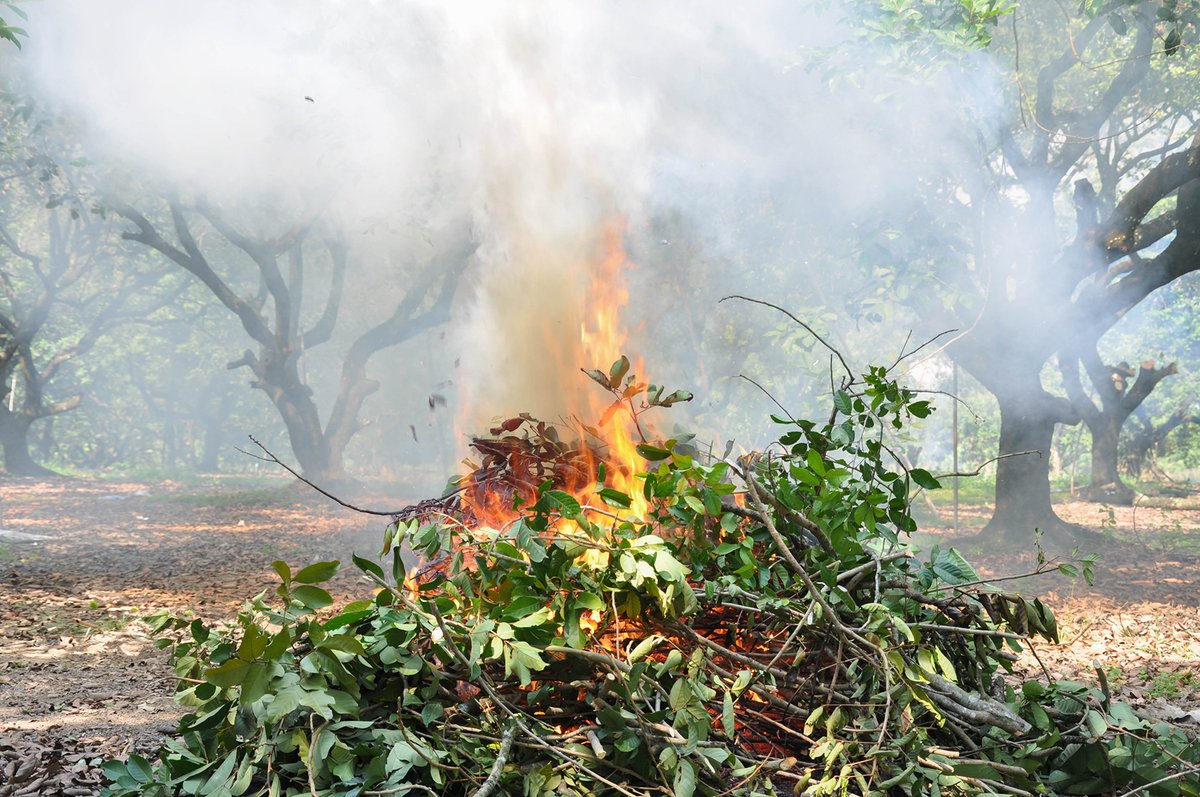 GaTrees's tweet photo. 🔥 NEW! GFC's online burn permit system launches TODAY.

📱 Apply from your phone or computer.
⏰ Available daily, 6 a.m.–7 p.m.
📅 Same-day permits, subject to local restrictions.

Learn more:
https://t.co/pQw4SJg9Zi

#EmergencyResponse #FirstResponders https://t.co/sFQNlbHcQ7