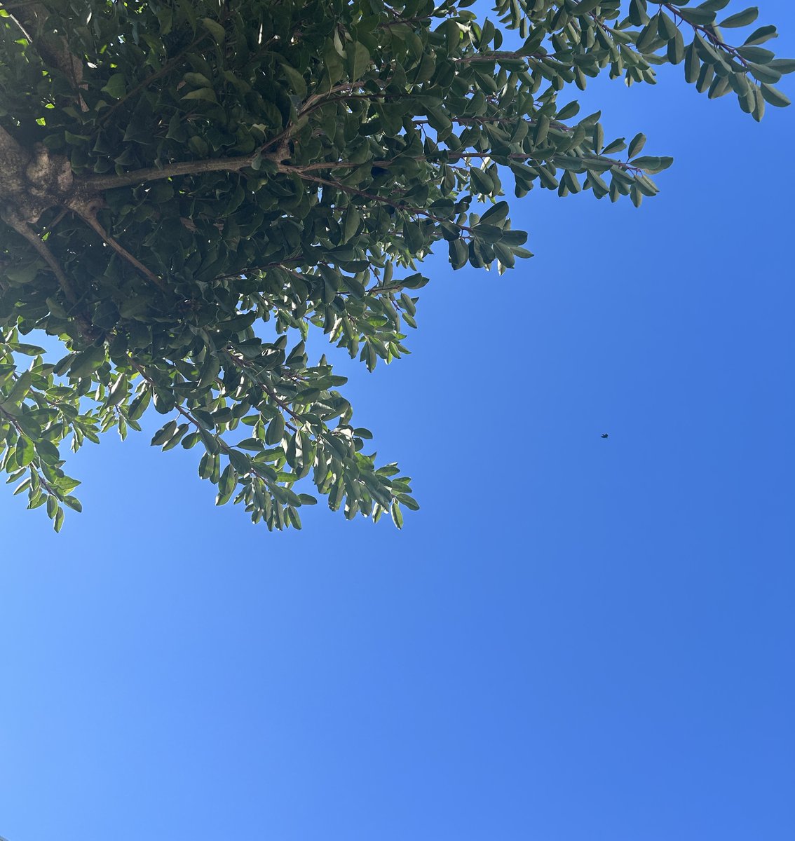 299ilrlRb682439's tweet photo. 周杜くんおつかれー！
 今朝、まっ青な空が見えたから 周杜くんにシェアしたくて写真撮ったよ
でもその後、心の中が土砂降りになりました
まだ雨は続きそうだけど
周杜くんへの想いはまったく変わらないの
この２年、瞬きもせず周杜くんだけを見つめてきました
その時間はそう簡単に消えないんだよ https://t.co/lhX8T37WW1