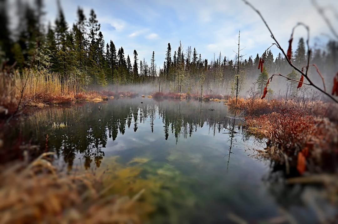 ProjectWILD's tweet photo. Happy #WorldHabitatAwarenessMonth! The #ProjectWILD guide is full of activities to raise your students' awareness of the importance of habitats. Check out activities like "Environmental Barometer," "Habitat Heroes," "A Home Away from Home," "HabiCache," &amp; more. Get WILD! https://t.co/IDDmx3rWSl