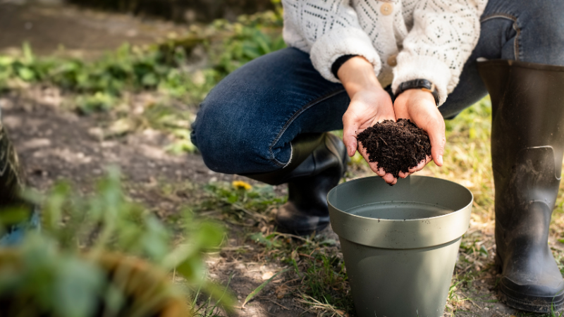 MiddlesexCntyNJ's tweet photo. Looking for an easy way to reduce waste and improve your garden?
This FREE Backyard #Composting Workshop will show you how to turn everyday scraps into nutrient-rich compost.
Oct. 10 at 10 AM
EARTH Center in Davidson Mill Pond Park
Register now: https://t.co/DtKs6MwVLN https://t.co/pebpZVCvHd