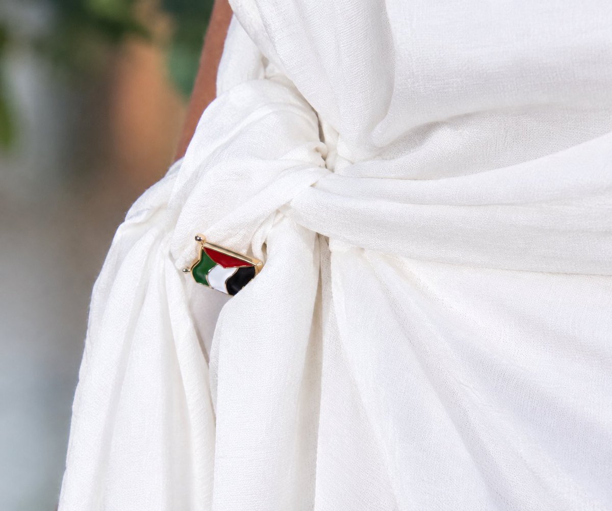 ariieesss_'s tweet photo. one year since the culpa nuestra premiere and i’m STILL not over nicole serving this hard but her proudly showing her support for palestine with that pin on her dress… this moment will always mean so much to me. we truly did make the right person famous 🥹🇵🇸
• #nicolewallace • https://t.co/r3rnL7WaRG