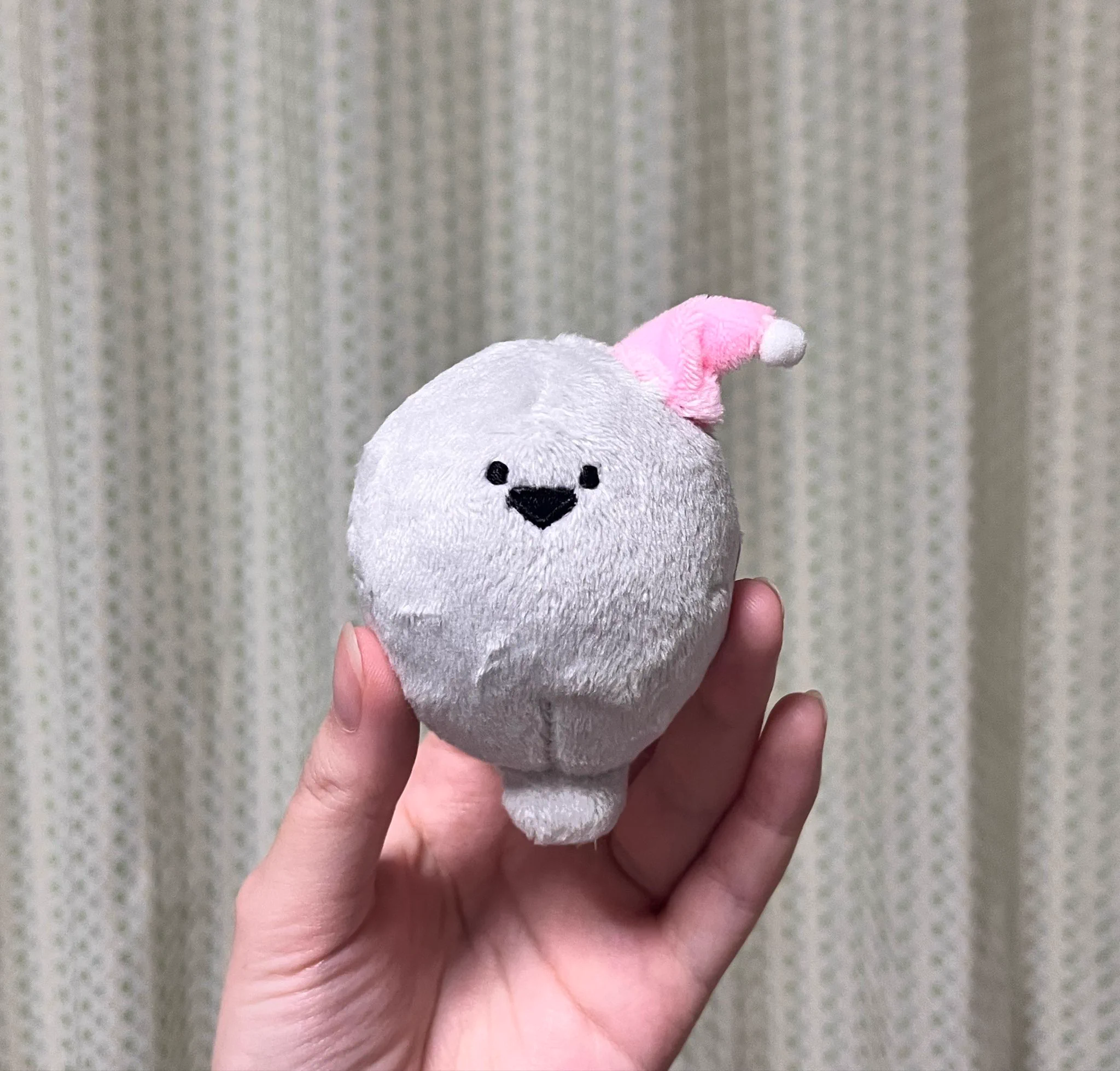 ばすぴす على X: 