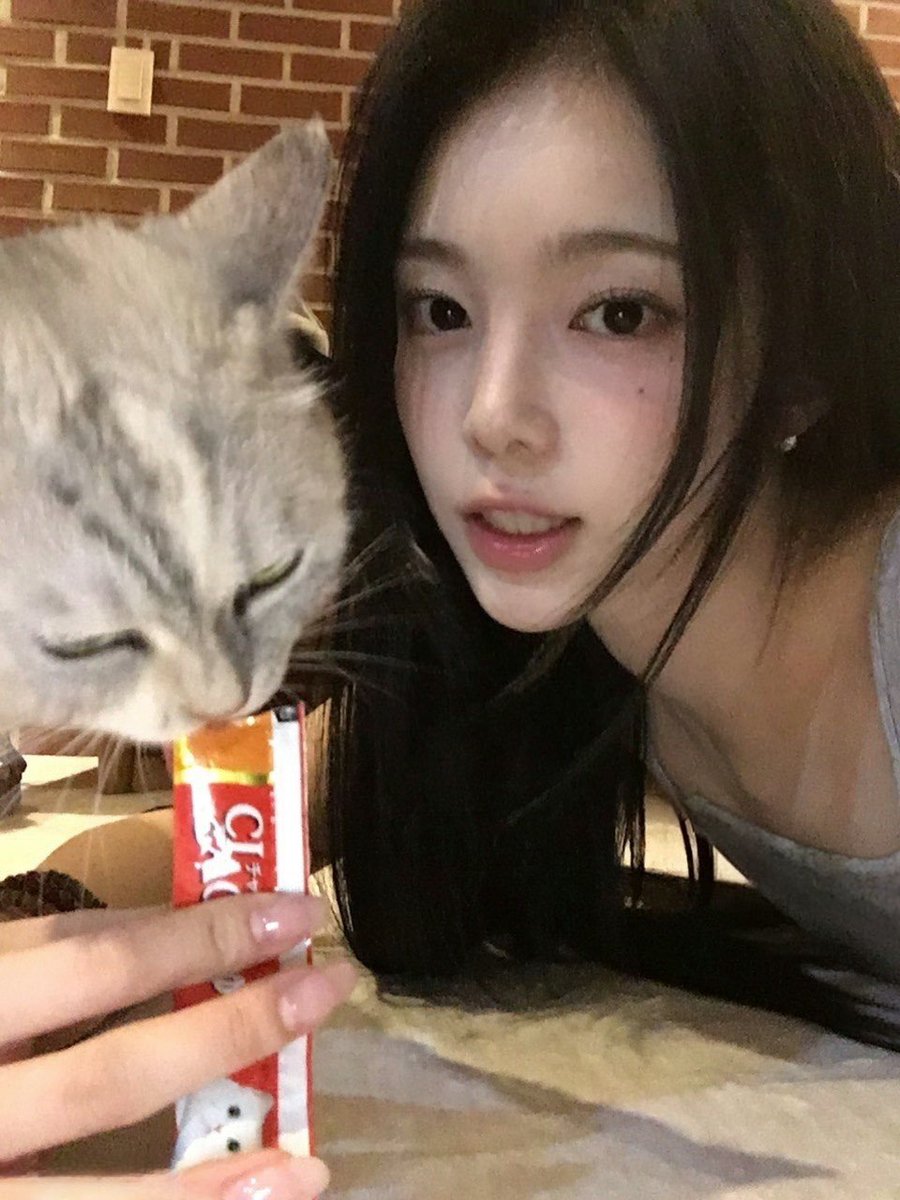 ianpicts's tweet photo. weverse update ♡ #ian https://t.co/sgcNgZXZRK