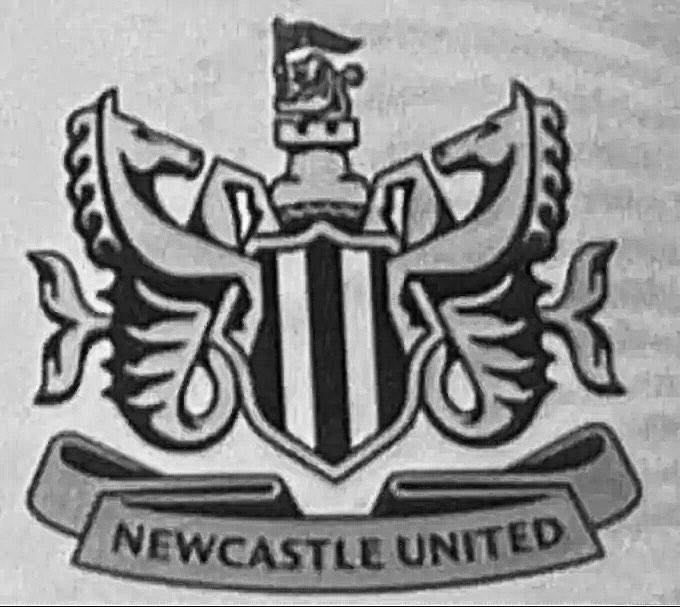 Tshewang2403's tweet photo. Nearly got us mad. Who was this to introduce ??
#Nufc 
#crest https://t.co/SYx4KlFYtB