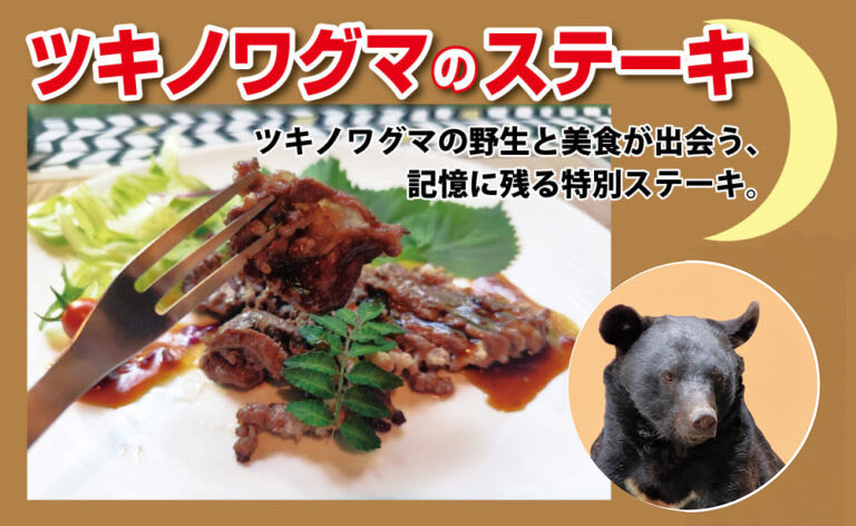 niirepjp's tweet photo. ツキノワグマのステーキ
ツキノワグマの野生と美食が出会う、記憶に残る特別ステーキ。 数量限定の為、早くなくなる場合があります。
その他、ジビエ料理などご用意してお待ちしています！
※メニューは変更になる場合がございます。
#ニイレプ　#新潟レプ　#朱鷺メッセ　#新潟TV21 https://t.co/tmARK0hP7w