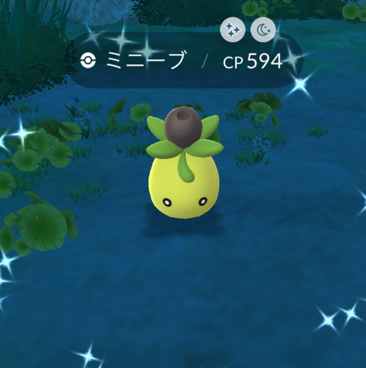3ptnli's tweet photo. ハーブルアー焚いてやっと🍏✨
#ポケモンGO https://t.co/1KWblHLQIo