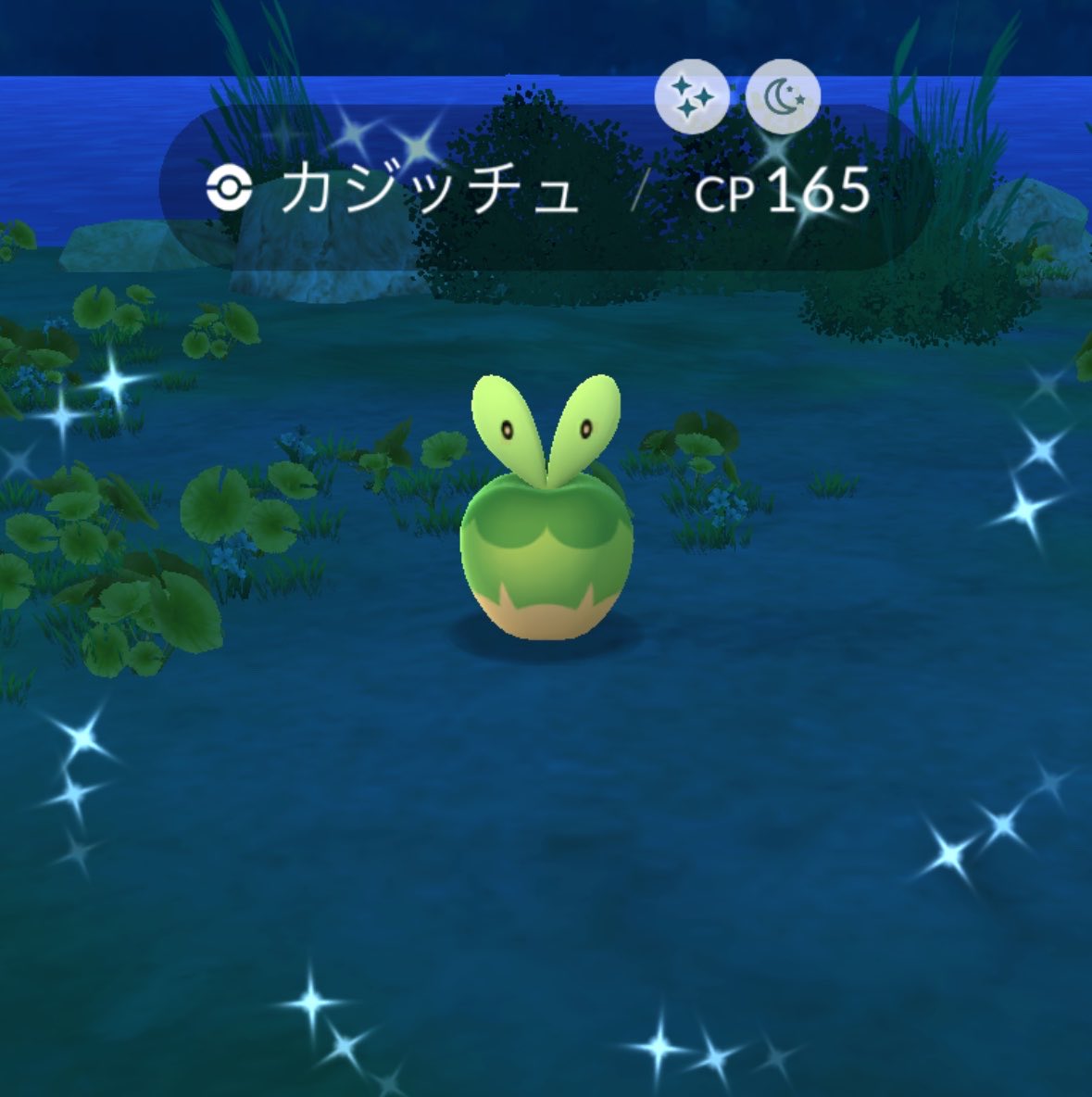 3ptnli's tweet photo. ハーブルアー焚いてやっと🍏✨
#ポケモンGO https://t.co/1KWblHLQIo