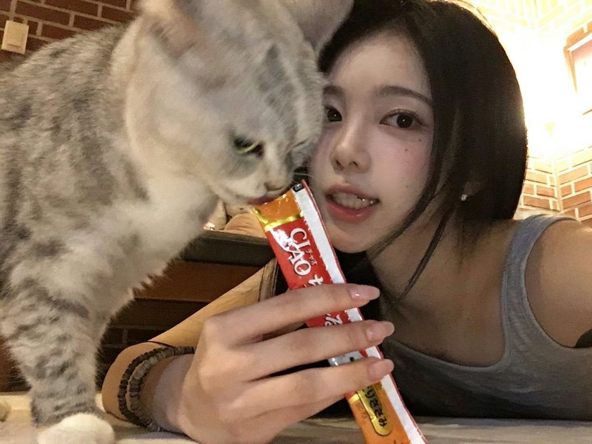 ianpicts's tweet photo. weverse update ♡ #ian https://t.co/sgcNgZXZRK