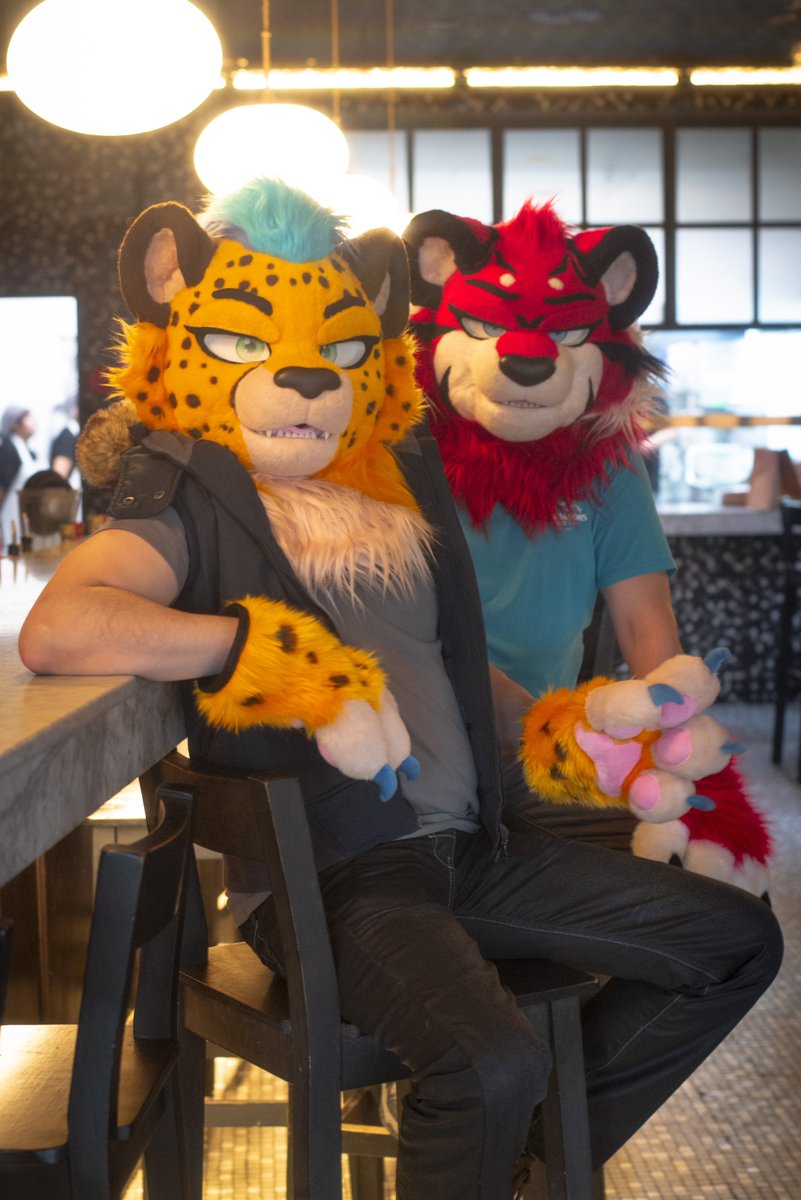 EvanBlessedChee's tweet photo. Bar cats with @Gartore01 

📷 by @/elbarryato (ig) https://t.co/7wjSB1M1QG
