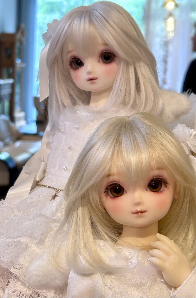 shika004's tweet photo. ゆきちゃんは天使だから里でしか、ご縁が結べないという事ですよね。。。
是非ともウチへ来てほしい。
#dearSD
#天使の里 https://t.co/MS6K4JmyJU