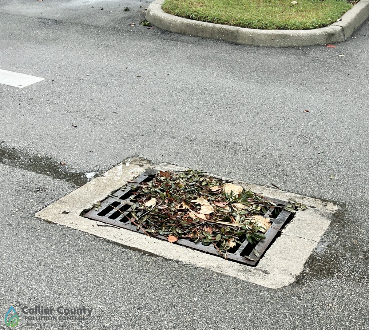 CollierGov's tweet photo. Don’t let this scary sight persist! A stormwater drain clogged with vegetation can result in flooding and lead to algae blooms. Help prevent nutrient pollution, flooding and algae blooms by keeping stormwater drains clear of vegetation!

#LiveGreenSaveBlue https://t.co/3liefvCra6 https://t.co/6Mq4uWlGEx