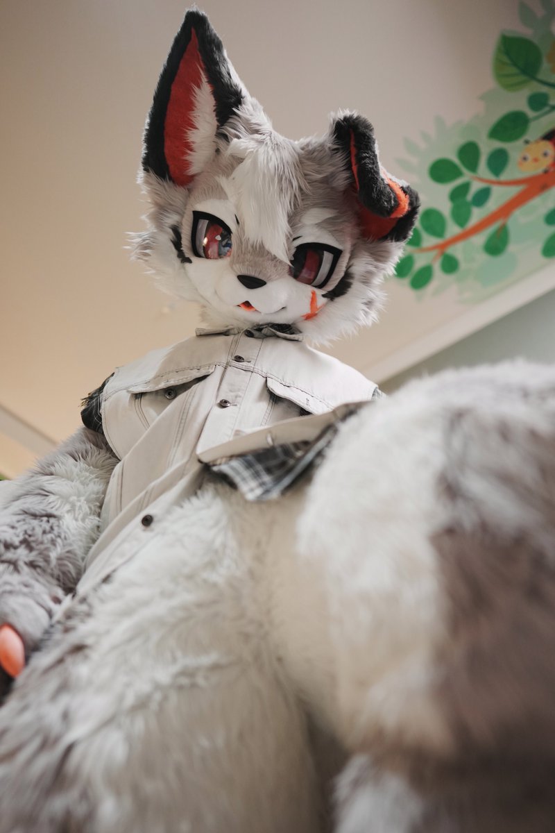 Anya_oOkami's tweet photo. え！？そこに何してるの？

📷：@ARlant_C 

#FursuitFriday #万界通行 #wwpass https://t.co/YHuGoTzpiB