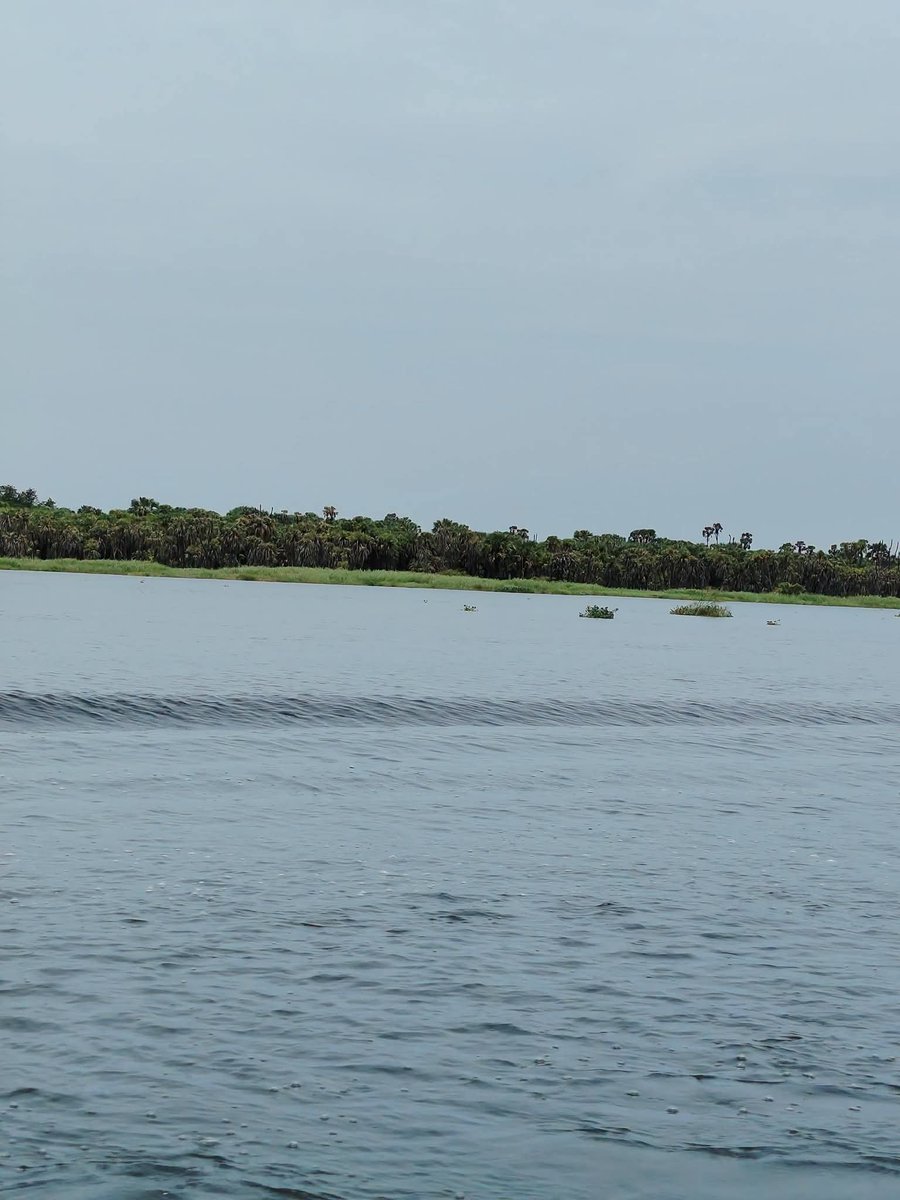 tot_deng's tweet photo. Upper nile state view🤙
South Sudan🇸🇸💙 https://t.co/hINoNOd3MG