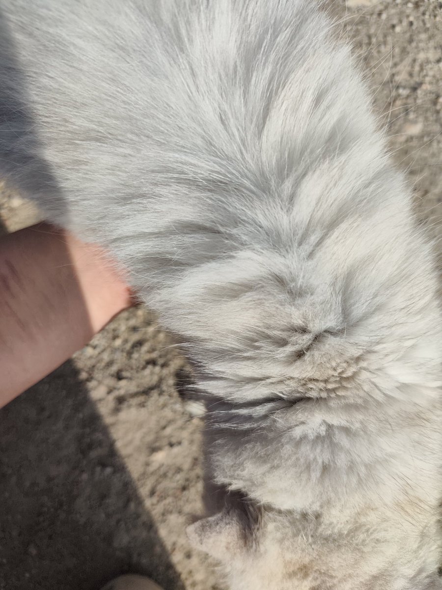 3egvz's tweet photo. 少羽牛逼 我真的求现在的烟不要加助燃剂了 老娘本来就穷 燃的速度像鬼和我抢烟抽一样 https://t.co/K2tnl5D59c