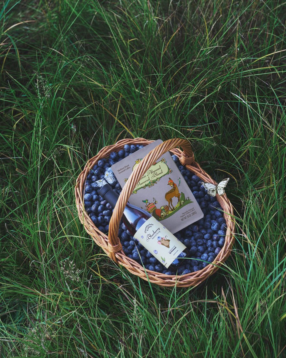EmmaAccess's tweet photo. The limited edition collection features the new organic almond blend, blueberry syrup, a mug, a dessert plate and a blanket! Shop everything now on https://t.co/xUNYm5MMaf 🫐🍃 https://t.co/YQUqX7dIHh