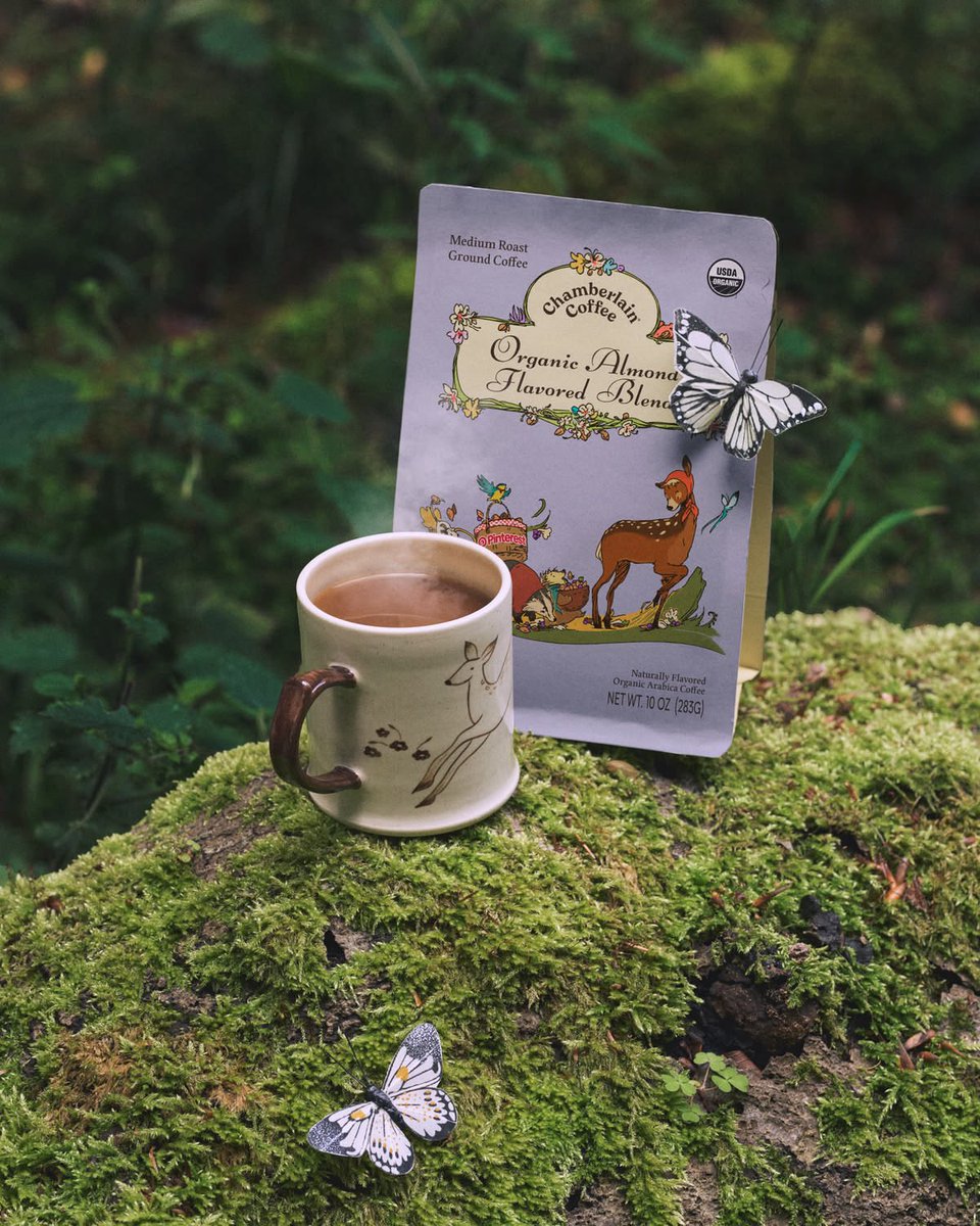 EmmaAccess's tweet photo. The limited edition collection features the new organic almond blend, blueberry syrup, a mug, a dessert plate and a blanket! Shop everything now on https://t.co/xUNYm5MMaf 🫐🍃 https://t.co/YQUqX7dIHh