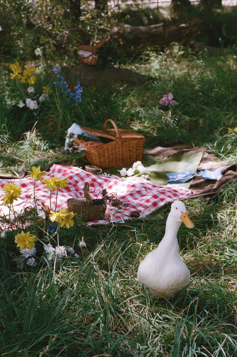 EmmaAccess's tweet photo. ~ “Inspired by the Pinterest Predicts trend, Wilderkind, this limited-edition collection is made for slowing down, getting outside, and finding beauty in everyday moments.” https://t.co/0sEEzlu7PQ