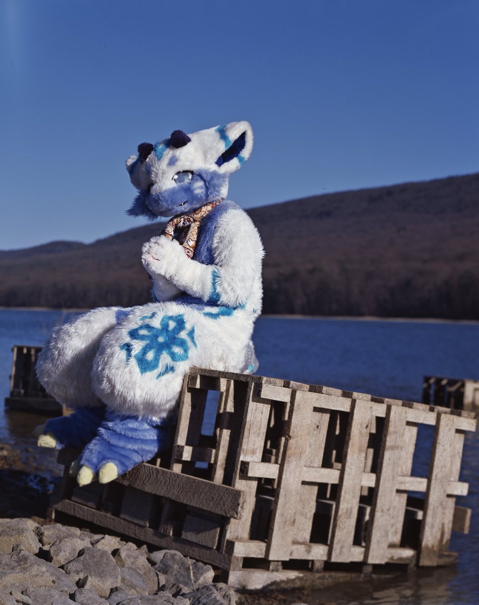 CaramelFox_'s tweet photo. #FursuitFriday https://t.co/VSDQgk3n6u