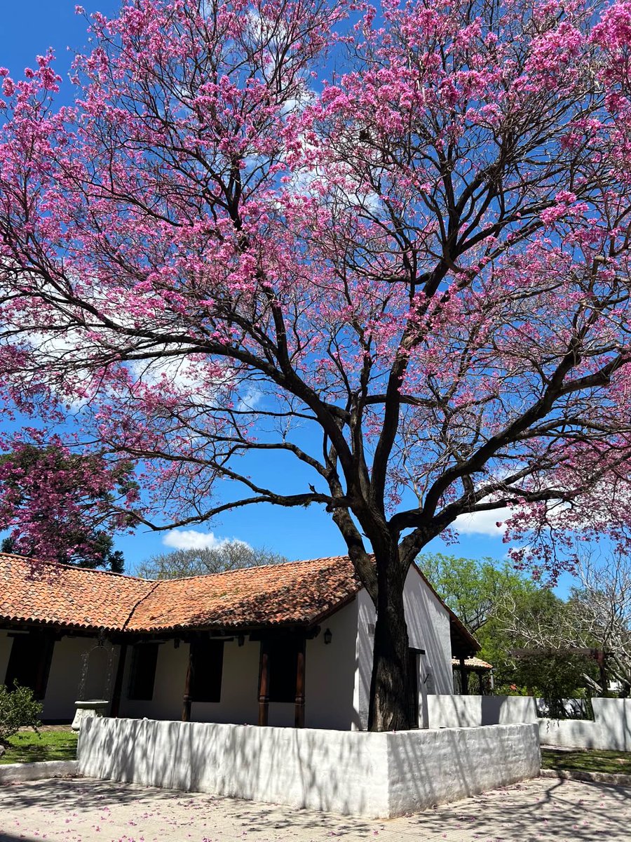 canteli_lorenzo's tweet photo. ¿Sabías que en Santa Fe está la casa más antigua de Argentina?
Fue construida a principios de la década de 1660 y perteneció a la familia Diez de Andino. Más de 360 años después, sigue en pie y hoy es sede del Museo Histórico Provincial Brigadier Estanislao López. https://t.co/Ju2RkYXVT9