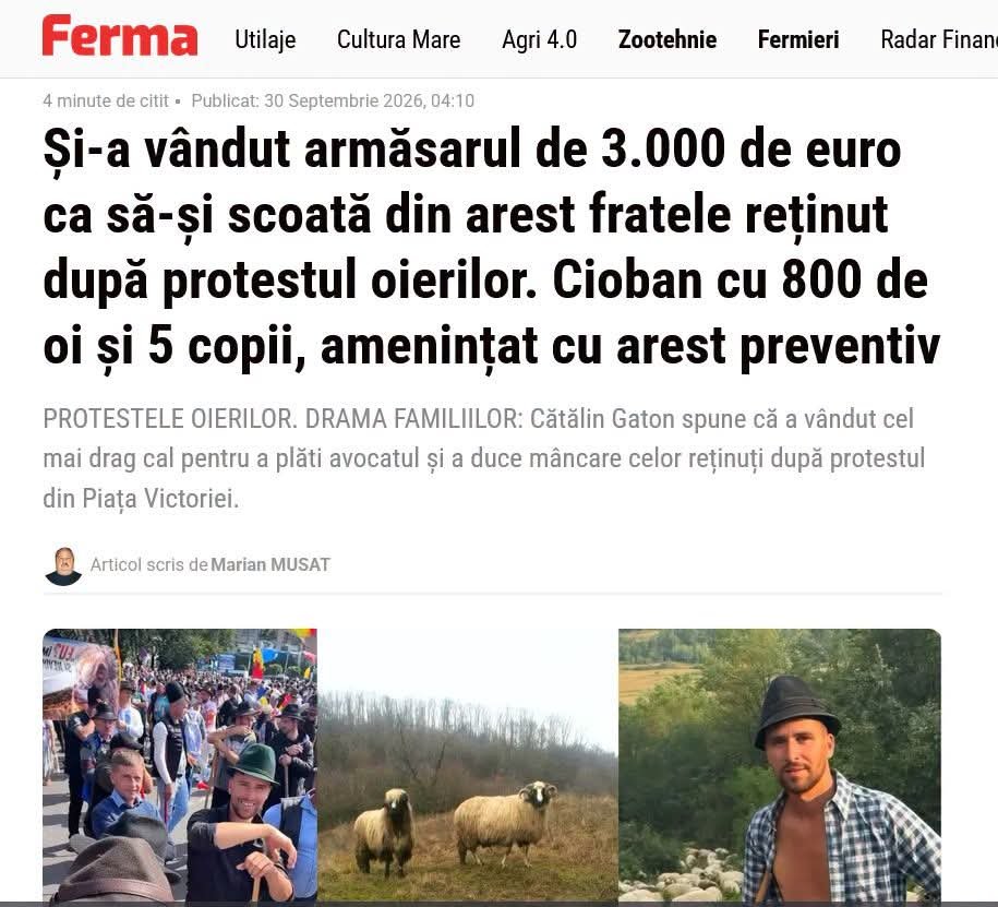 Cobra_196's tweet photo. Voi realizati ce este in tara asta ?

Un cioban cu 5 copii vine sa protesteze la Bucuresti ca statul roman prin guvernarea Nicusor-Bolojan-USR-PNL-PSD-UDMR ii distrug oile pe motiv de boli inchipuite.
Bun.
Ciobanul este arestat ca el ar fi vrut sa faca "'dezordine"' in minunatia de Capitala.
Fratele lui isi vinde  calul cu care munceste la camp sa il scoata pe cautiune fratele din arest.

Si tot poporul nu vede  nimic  rau in asta..in vreme ce aia din PSD-USR-PNL-UDMR care au facut sa dispara 240 mld eur intre 2020-2026 sunt liber si ocupa functii publice si continua sa fure.
Iulian Urban