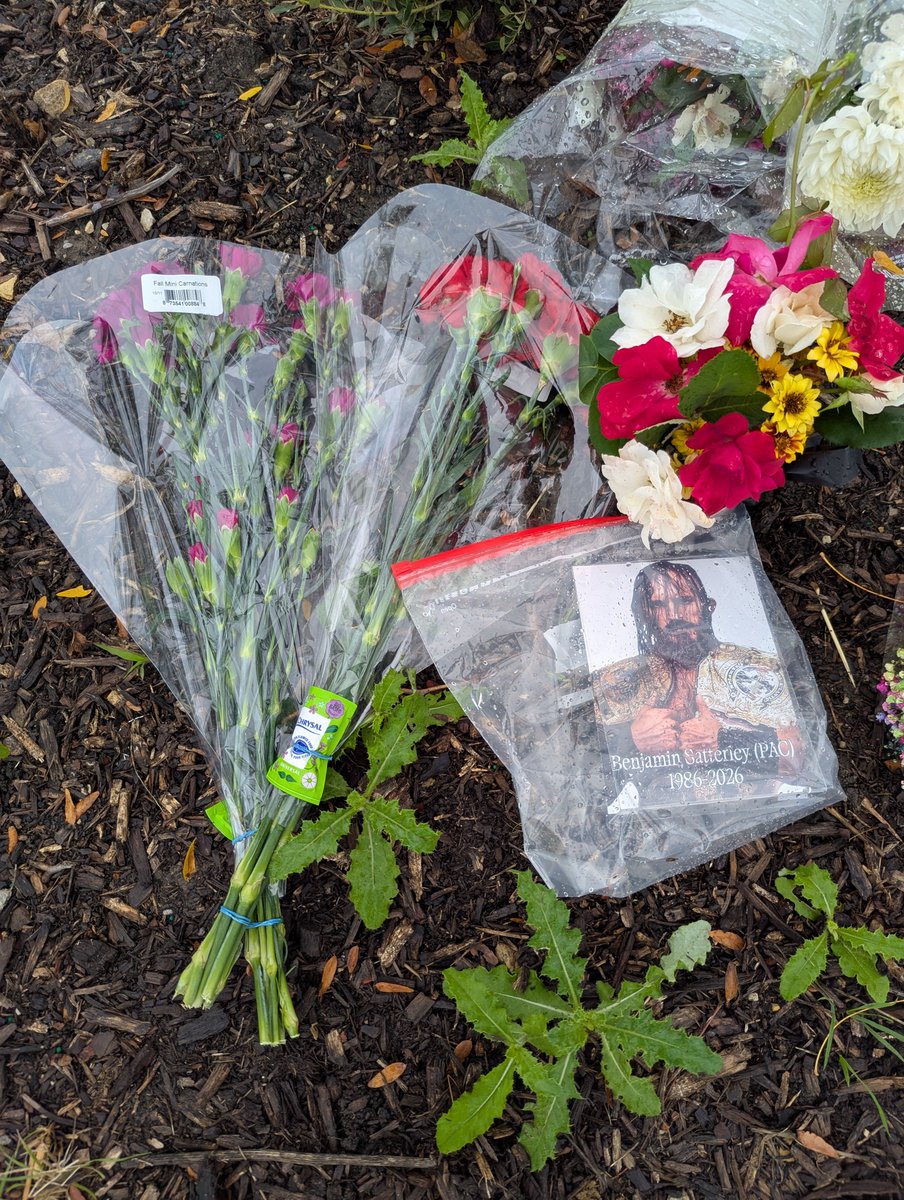 Walter_N25's tweet photo. Went over to the memorial site for Pac to lay some flowers down &amp; say a little prayer to him 🙏 I'm happy to see others did the same we will miss so much Rip ❤️❤️❤️ https://t.co/LxJ40Vo4Ae