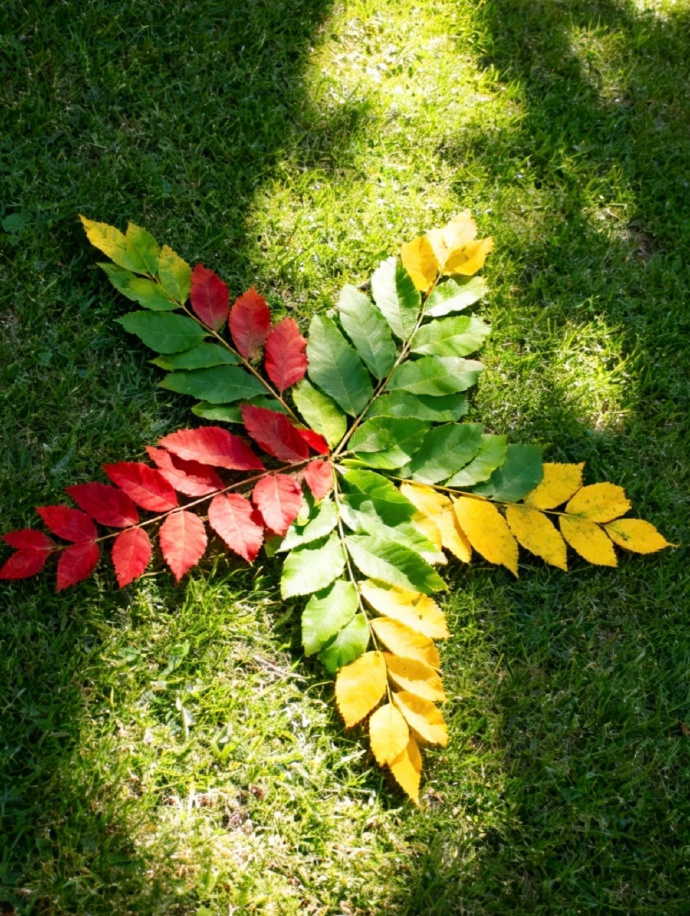 MartineOriv6l's tweet photo. Hoy disfruté una experiencia de arte única: crear un dibujo con materiales naturales en el parque. El arte está en cada rincón que nos rodea! ， https://t.co/3qgx7MeNxS