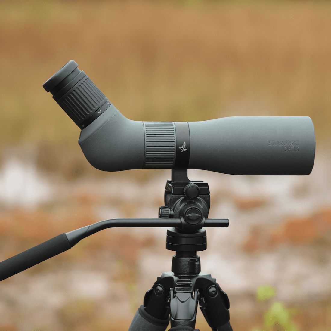 CleySpy's tweet photo. Evening All! We've just taken delivery of something new and very special from our friends @SwarovskiOptik. You'll have to be quick, but click here.... https://t.co/wiHxxPEXxY https://t.co/DeJMYLWtpL