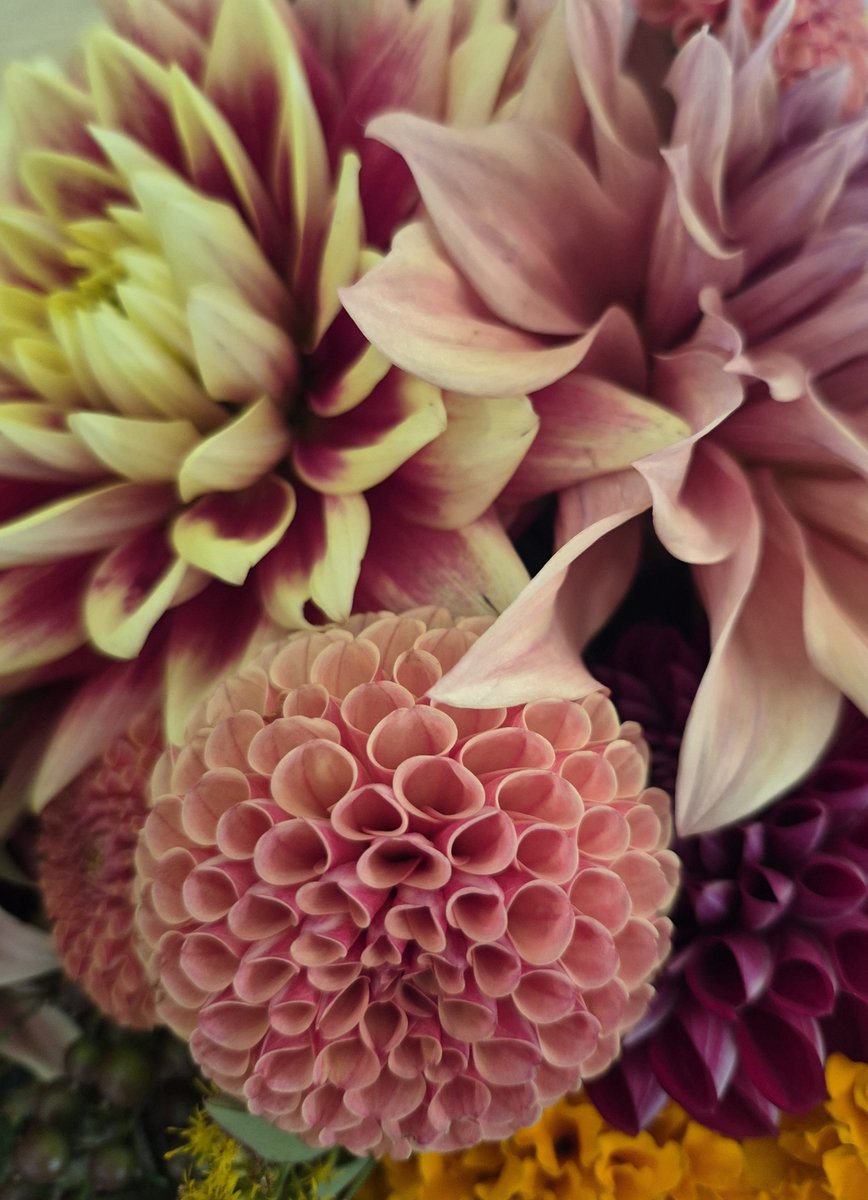 goodwitch5's tweet photo. Happy October https://t.co/iIJ7dnCJ7d