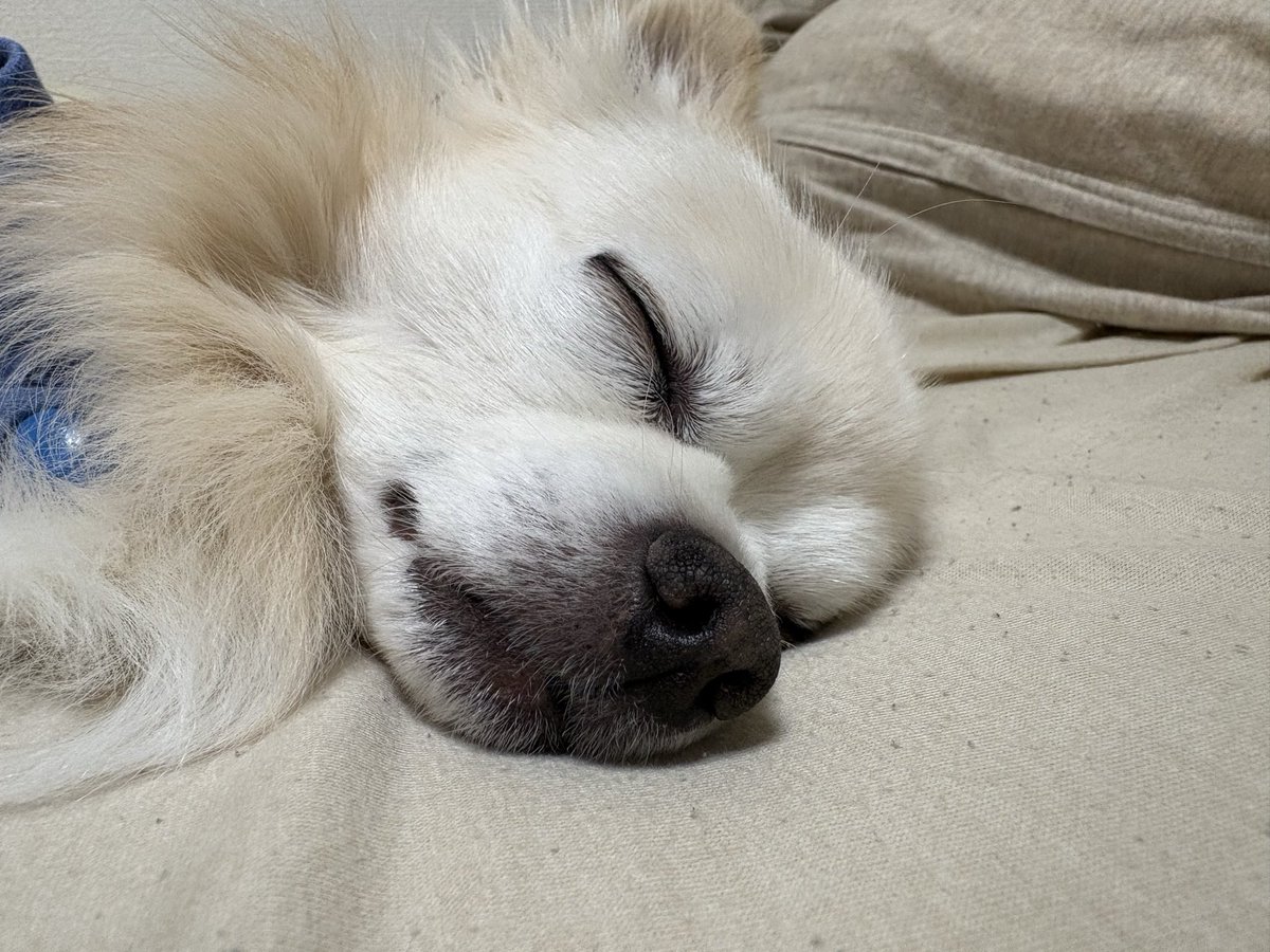 mitsu__mitsuo's tweet photo. 今日もおつかれさまでした https://t.co/XSrUIDPDLE