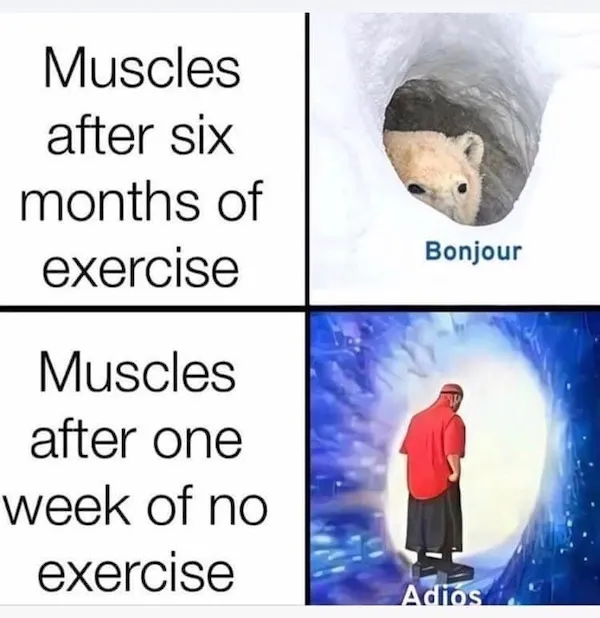 HammerTimeIII's tweet photo. So TRUE
Esp as one gets older 🤣😂🤣 https://t.co/aQEOvemuQv