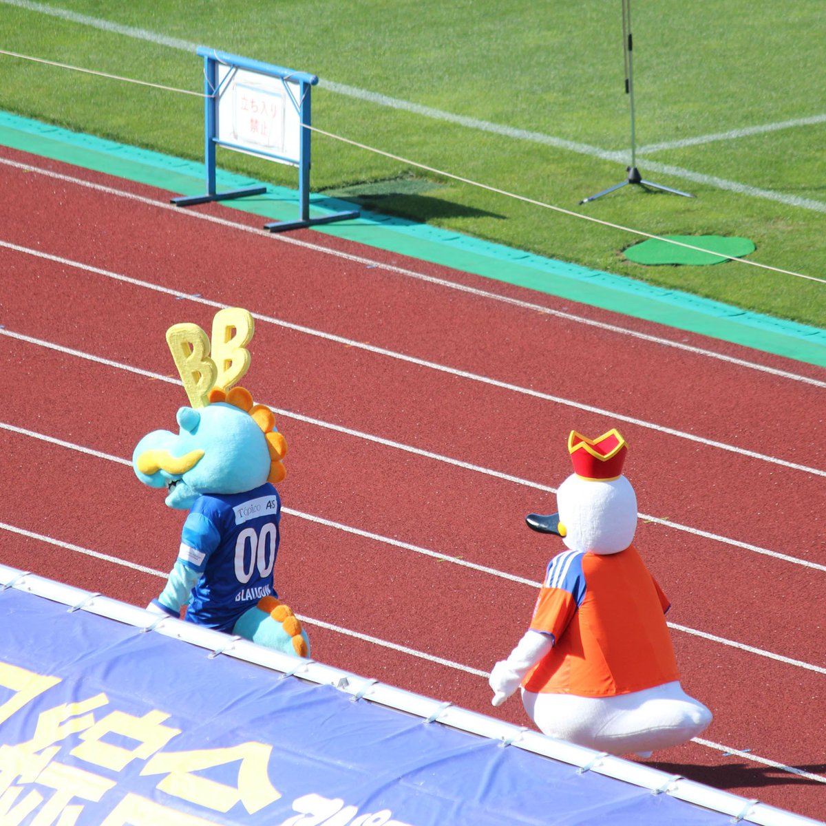 Axio_5163's tweet photo. アルビくんとブラウゴン🏟️✨
#アルビくん #ブラウゴン #ソユースタジアム https://t.co/MpmBlJ6vSC
