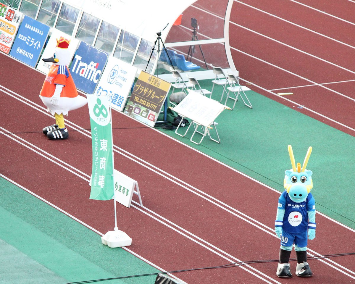 Axio_5163's tweet photo. アルビくんとブラウゴン🏟️✨
#アルビくん #ブラウゴン #ソユースタジアム https://t.co/MpmBlJ6vSC