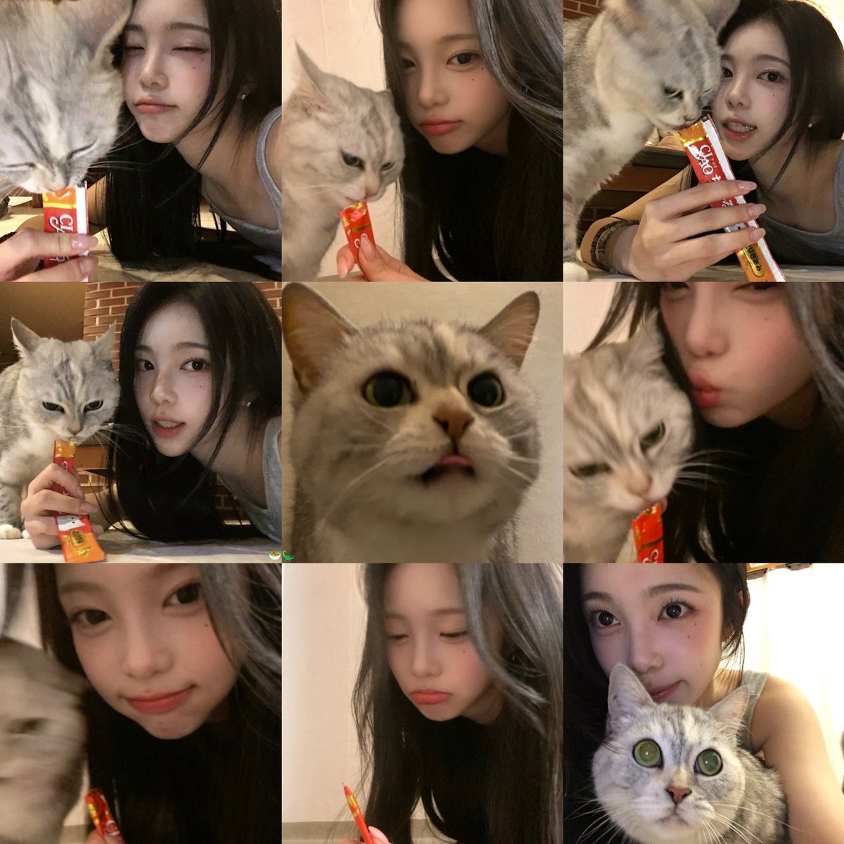 ianpicts's tweet photo. IAN WITH ARU🥺 https://t.co/dtF7qJDCHg