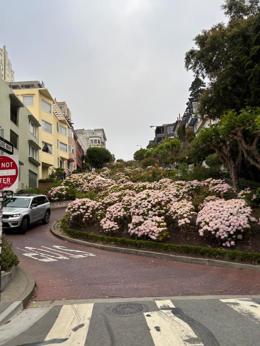 allBLUerthang's tweet photo. The most beautiful season of the year has arrived in San Francisco! Here’s to an October with fewer turbulent waves at work and more moments of gentleness.

Wishing everyone a happy October and all the best for the days to come! ☕🎃

#HelloOctober #SFLife #AutumnMoments☕🎃 https://t.co/FvLGWtHlwm