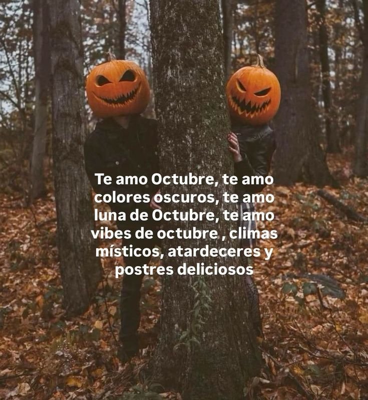 brrrrrrey334107's tweet photo. TE AMO OCTUBRE 🎃🦇 https://t.co/sXSBrG9NkL