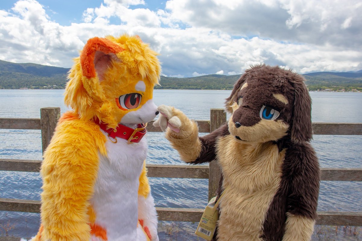 kiki13576's tweet photo. ぽちっ
📷:@TailLens96
#FursuitFriday 
#ふぁーろっじ 
#リス村別荘 https://t.co/d2hU8a1kQo