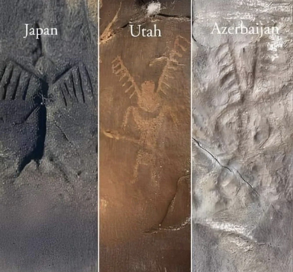 wakenminds's tweet photo. Someone is not telling us the truth about our history.. https://t.co/z3ps6g3byM
